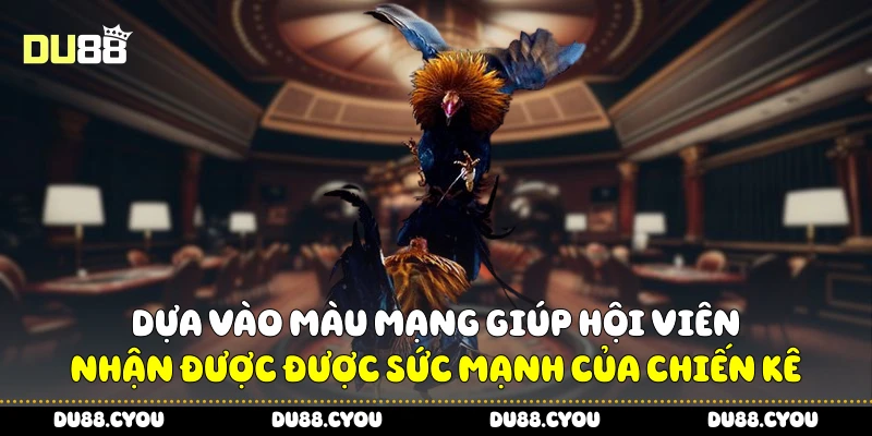 Màu Mạng Đá Gà Siêu Hot - Mẹo Nhận Biết Gà Mạnh Từ Du88 2 Dựa vào màu mạng giúp hội viên nhận được được sức mạnh của chiến kê