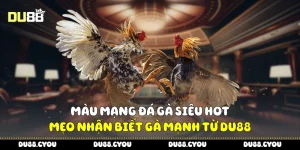 Màu mạng đá gà