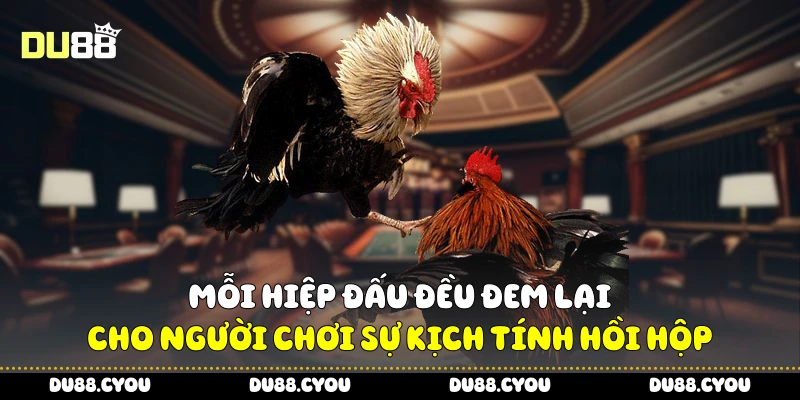 Đá Gà C1 - Cách Xem Trận Đấu, Chọn Gà Chuẩn Để Thắng 2 Mỗi hiệp đấu đều đem lại cho người chơi sự kịch tính hồi hộp
