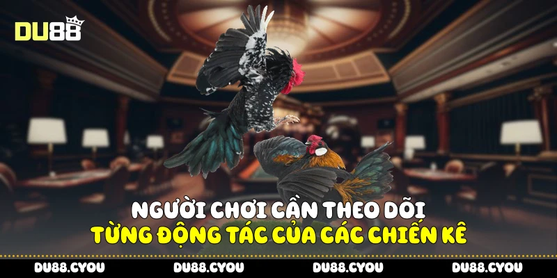 Trực Tiếp Đá Gà Siêu Hot - Bí Kíp Theo Dõi Để Chọn Cửa Chuẩn 4 Người chơi cần theo dõi từng động tác của các chiến kê