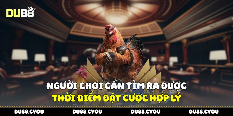 Đá Gà C1 - Cách Xem Trận Đấu, Chọn Gà Chuẩn Để Thắng 4 Người chơi cần tìm ra được thời điểm đặt cược hợp lý