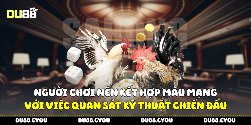 Màu Mạng Đá Gà Siêu Hot - Mẹo Nhận Biết Gà Mạnh Từ Du88 4 Người chơi nên kết hợp màu mạng với việc quan sát kỹ thuật chiến đấu