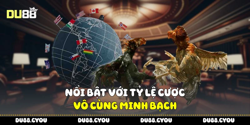 Đá Gà Thomo - Gà Nào Mạnh, Cửa Nào Ngon Để Thắng Lớn Từ Du88 2 Nổi bật với tỷ lệ cược vô cùng minh bạch