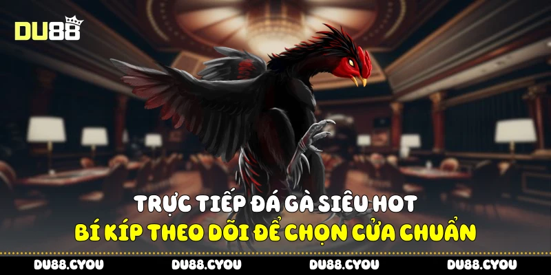 Trực Tiếp Đá Gà Siêu Hot - Bí Kíp Theo Dõi Để Chọn Cửa Chuẩn 4 Trực tiếp đá gà